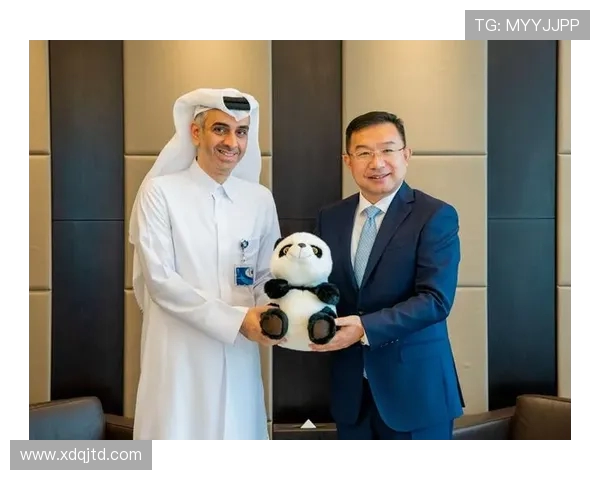 卡塔尔与阿联酋对决分析及大小球投注策略探讨